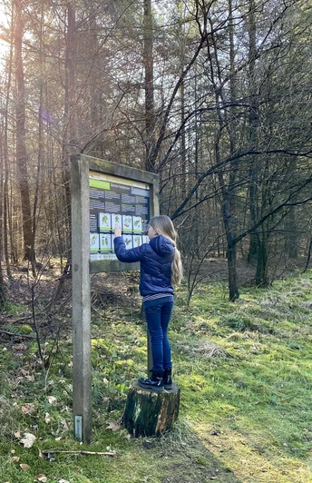 Löwenzahnentdeckertouren Fullener Wald, Meppen ©Naturpark Bourtanger Moor (1).JPEG Kind liest Informationstafel im sonnendurchfluteten Wald des Aktiv-Pfads Fullener Wald in Meppen