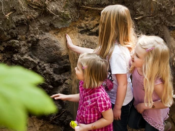 Walderlebnispfad Fullener Wald bei Meppen ©Naturpark Moor-Veenland (13).jpg