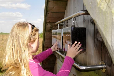 Lehrpfad ‘‘moor land schaffen – Erlebnis Wiedervernässung‘‘ im Provinzialmoor bei Twist ©Naturpark Moor-Veenland (49).jpg Mädchen betrachtet und dreht Infotafeln einer interaktiven Station am Moorlehrpfad im Naturpark.