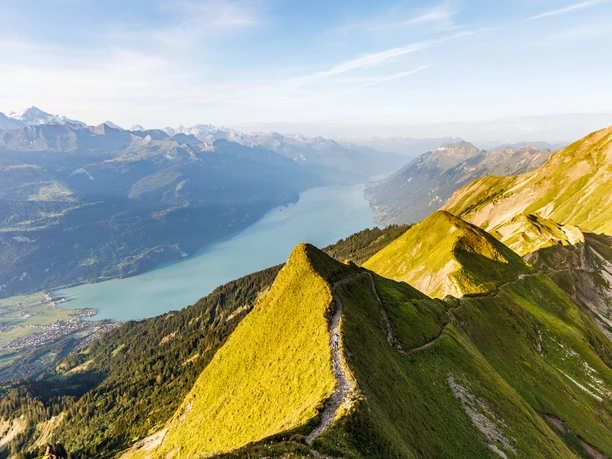 Steinbock-Trek_Brienzer Rothorn_Sörenberg_Wanderblondies (15) (1).jpg