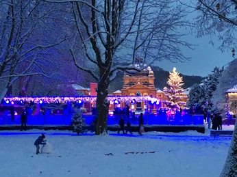 Eiswinter2017abends (8).JPG