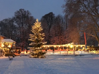 Eiswinter2017abends (24).JPG