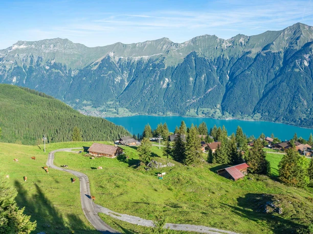axalp-sommer-aussicht-brienzersee.jpg