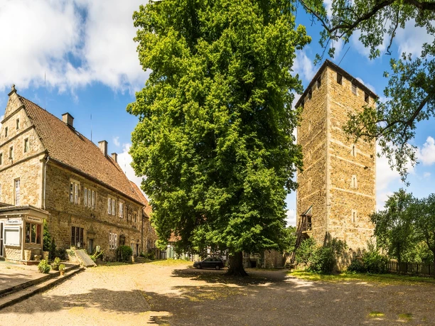 Schaumburg Palas und Georgsturm