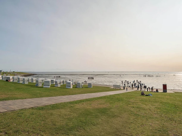 Watt am Grünstrand in Büsum