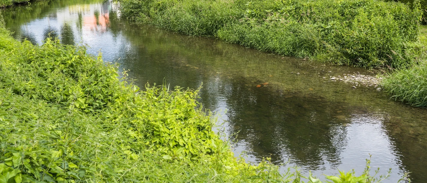 Waschplätze an der Exter