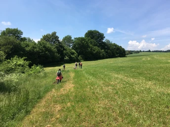 Schöne Aussicht auf der Route 75