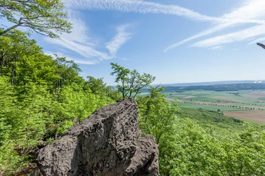 Aussicht Ith-Hils-Weg ©GeTour GmbH.jpg