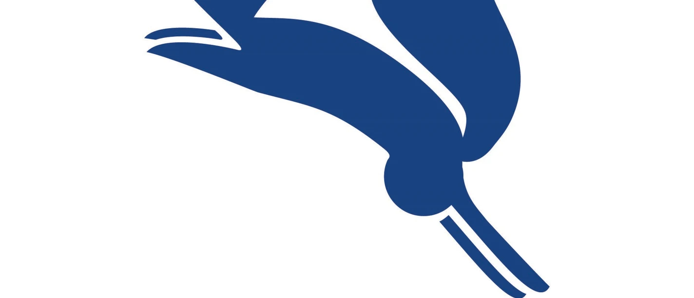 BSiP_2025_4_Walken, Laufen & Spielen.jpg