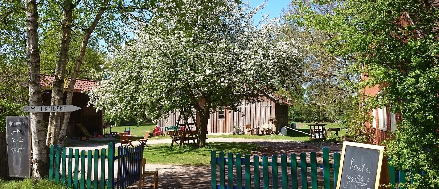 Schatteburger Hofkäserei Eingang zu einem Garten mit grünem Holzzaun, blühendem Baum und mehreren Holztischen bei sonnigem Wetter