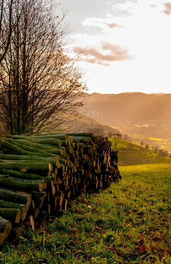 Stimmungsvoller Ausblick