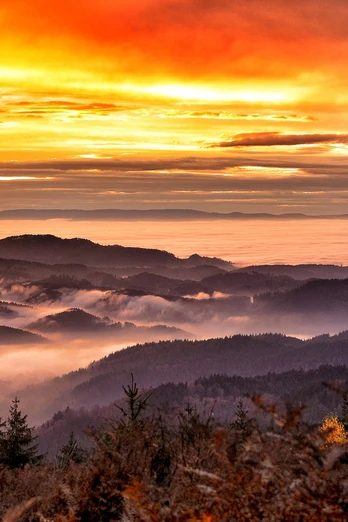 Blick in die Rheinebene