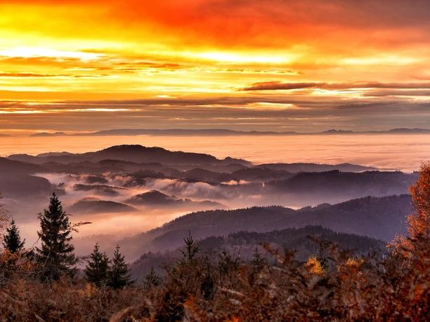 Blick in die Rheinebene