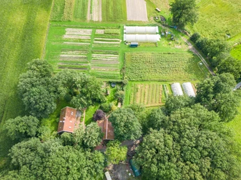 Heuerhof Elbergen .jpg