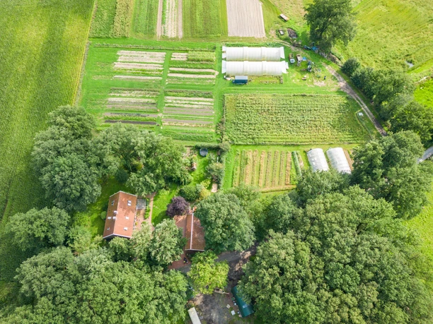 Heuerhof Elbergen .jpg