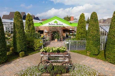 Schöö Brüna Blumenhaus Bild.jpg