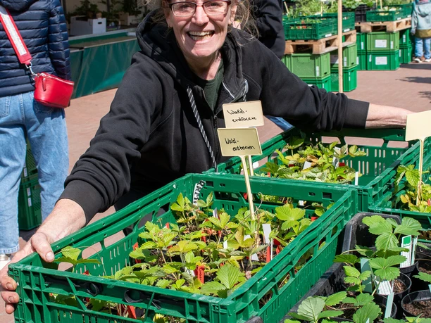 Jungpflanzenmarkt_Die_Gemüsegärtner