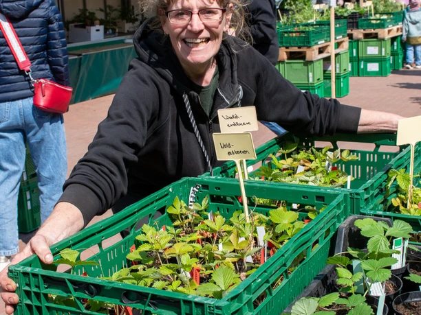 Jungpflanzenmarkt_Die_Gemüsegärtner
