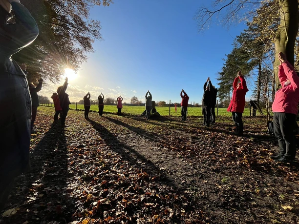 Menschen praktizieren Yoga im Freien, umgeben von Herbstlaub und Bäumen unter strahlend blauem Himmel.