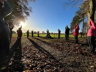 Menschen praktizieren Yoga im Freien, umgeben von Herbstlaub und Bäumen unter strahlend blauem Himmel.