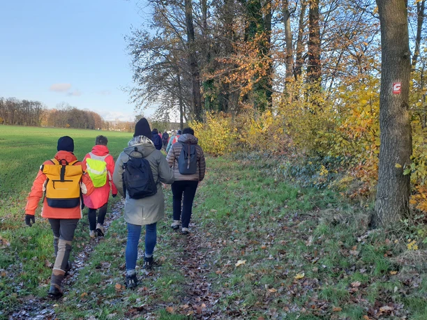Eine Gruppe von Menschen wandert im Herbst durch einen ländlichen, von Bäumen gesäumten Pfad.