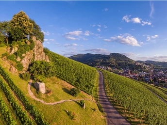 Der Dasenstein bietet tolle Ausblicke nach Kappelrodeck, ins Achertal und in die Rheinebene