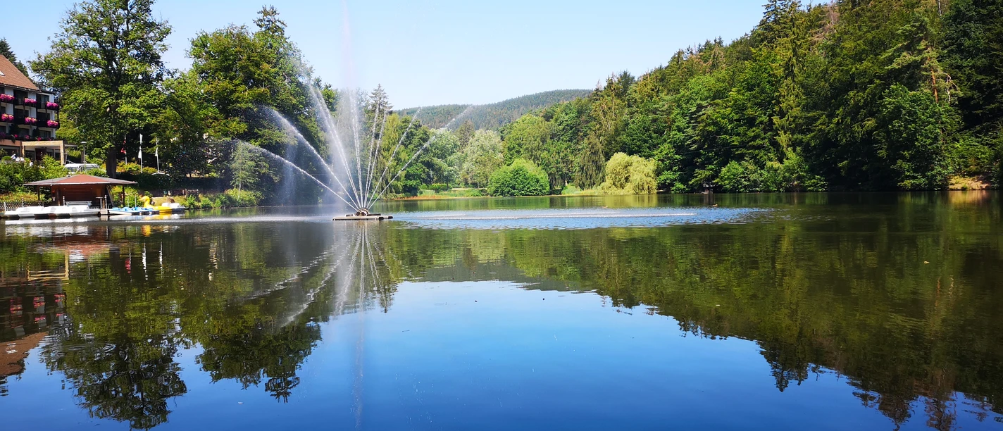 Schmelzteich_(c) Tatiana Zavareze