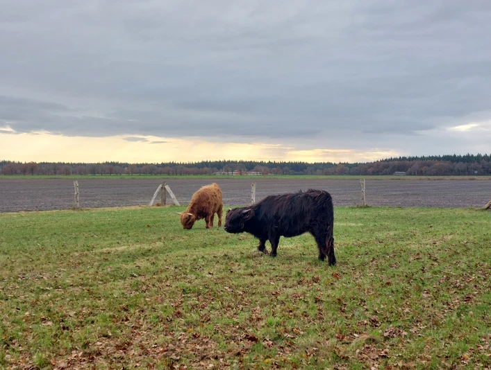 Jule und Tjara_klein.jpg