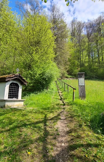 Einstieg zum Waldlehrpfad