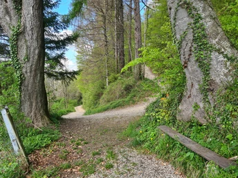 Beim Abstieg finden sich immer wieder Sitzgelegenheiten