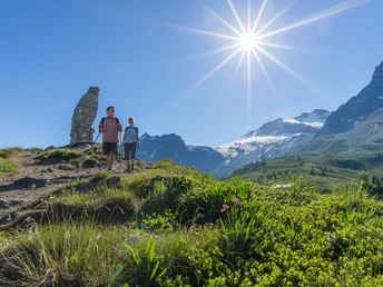 Wanderer beim Steinadler auf dem Simplonpass