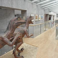 Museum-Korbach-Dinos
