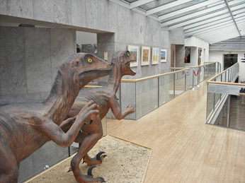 Museum-Korbach-Dinos