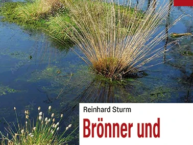 Brönner und der Tote im Moor Cover .jpg