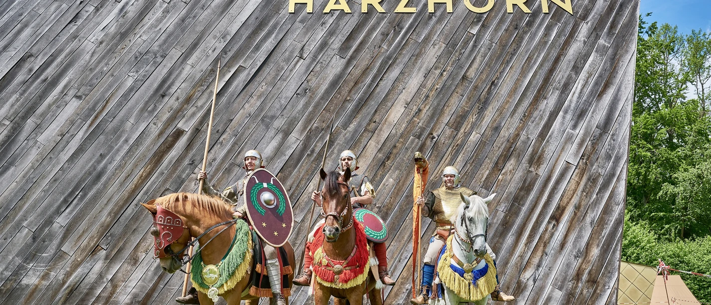 (c) Römische Reiter Harzhorn_Fotograf Holger Gilhaus_.jpg