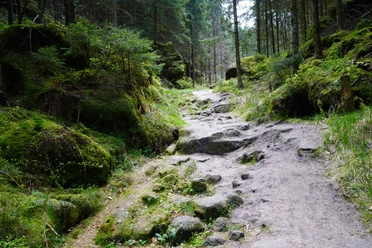 Auf dem Jordanweg
