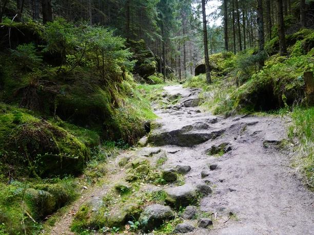 Auf dem Jordanweg