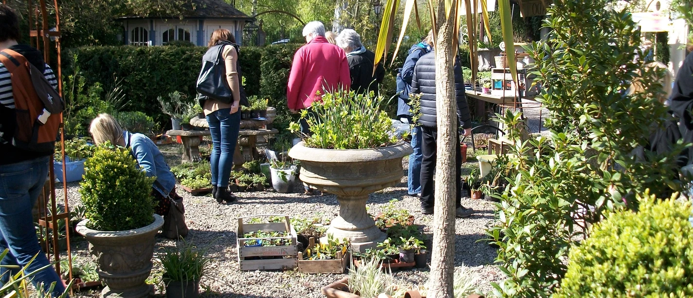 MD001167.JPG Menschen betrachten Topfpflanzen auf einem sonnigen Pflanzenmarkt im Freien.