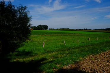 Titelbild Weitläufige Wiesen mit vereinzelten Bäumen und einem blauen Himmel mit leichten Wolkenformationen.