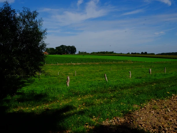 Titelbild Weitläufige Wiesen mit vereinzelten Bäumen und einem blauen Himmel mit leichten Wolkenformationen.