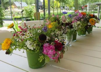 Bunte Blumenarrangements in grünen Vasen schmücken einen langen Tisch im Freien, umgeben von Natur.