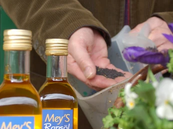 Mey`s Rapsöl
