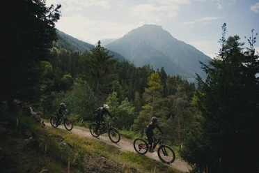 Rosswald Bike