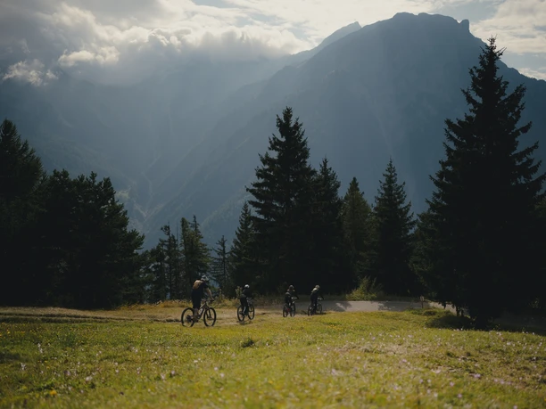 Rosswald Bike