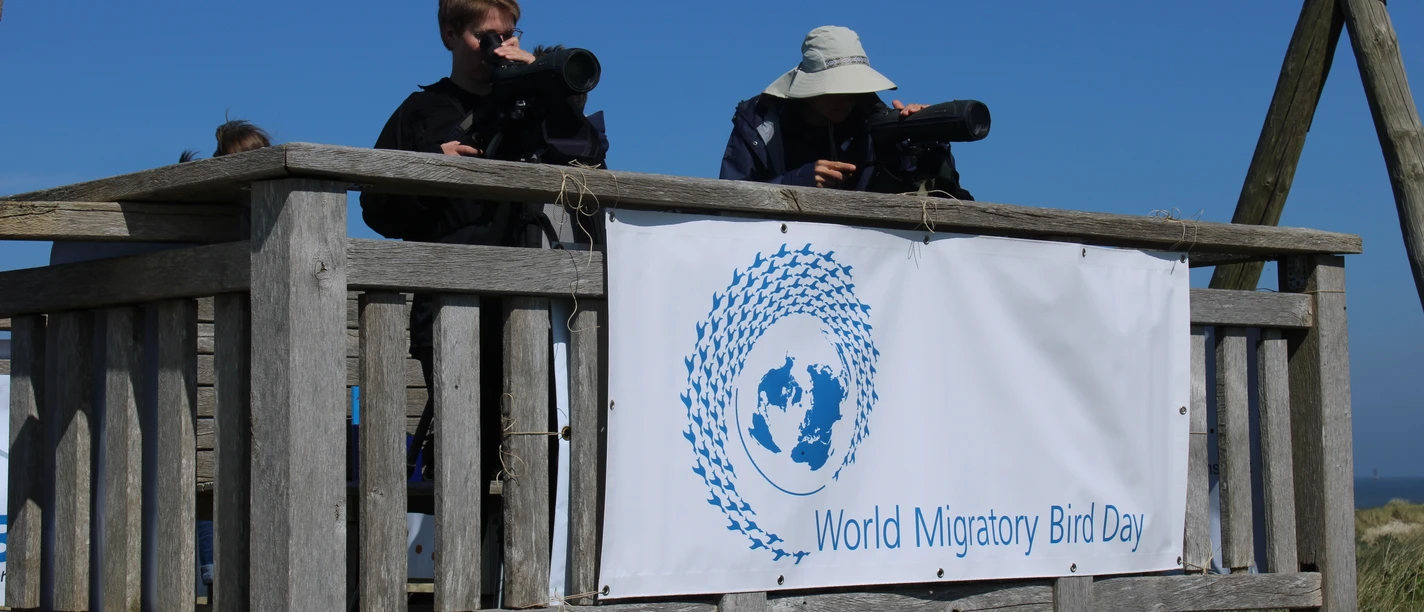 Weltzugvogeltag2024_Gerrit_Martens.JPG