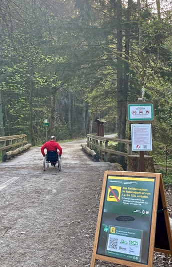 Mündung des Nassen Grundes im Kirnitzschtal