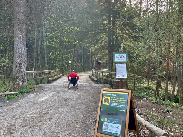 Mündung des Nassen Grundes im Kirnitzschtal