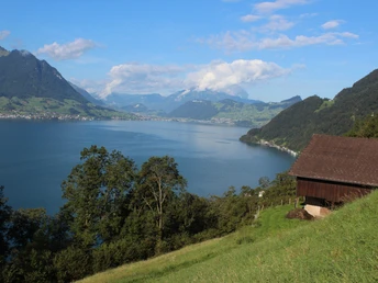 Aussicht auf den Vierwaldstättersee oberhalb Gersau