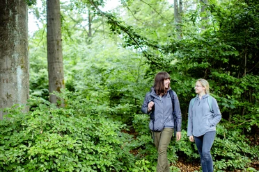 Wandern im Nationalpark Kellerwald-Edersee