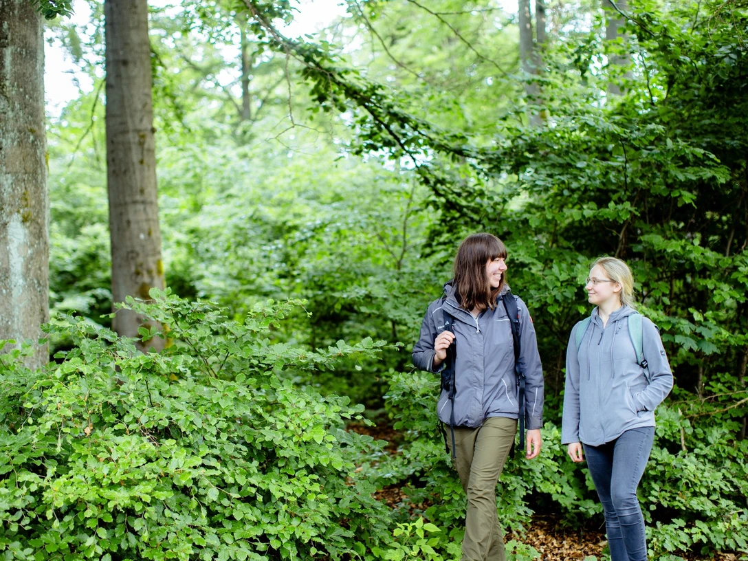 Wandern im Nationalpark Kellerwald-Edersee